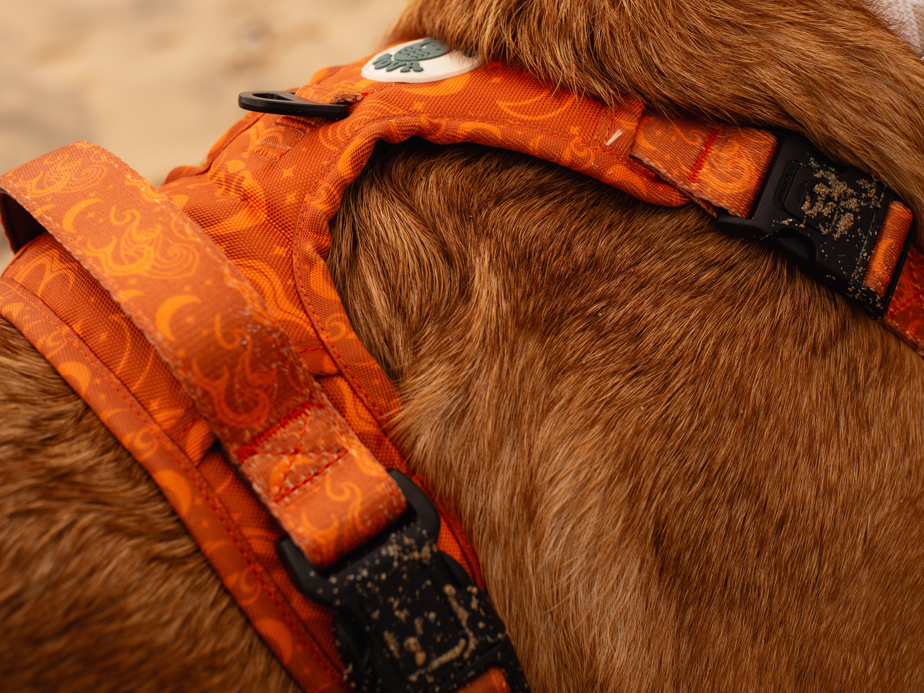 Salty Nova Lunar harness in the Solstice print, a handmade neoprene-lined dog harness, additional angle