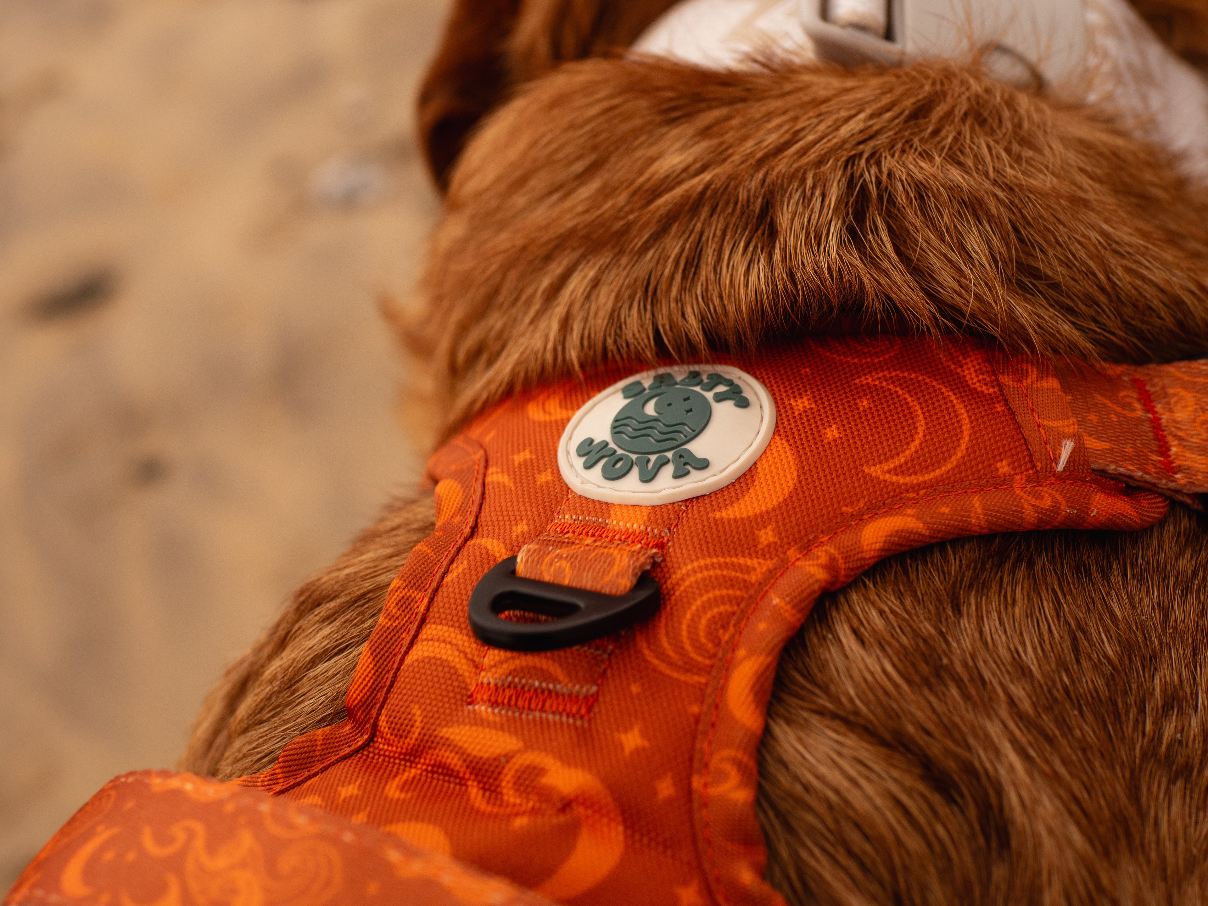 Salty Nova Lunar harness in the Solstice print, a handmade neoprene-lined dog harness, close-up