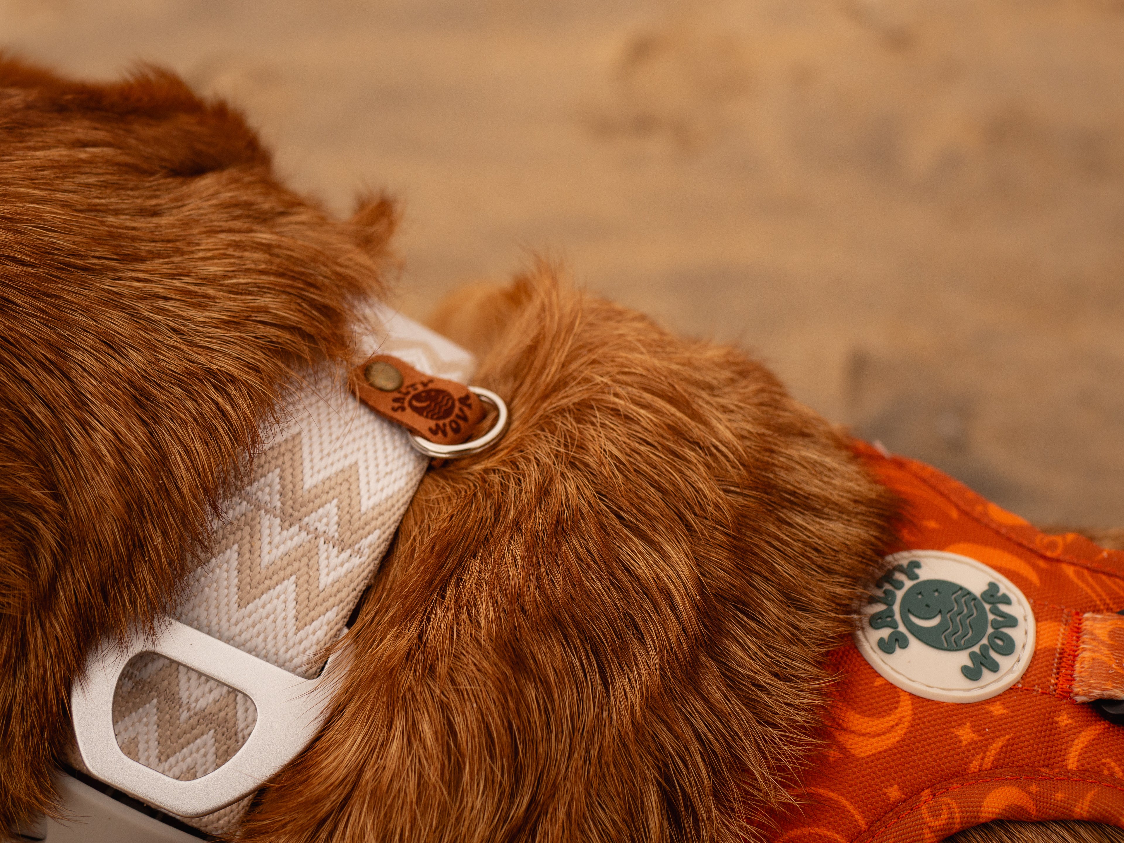 Salty Nova Tides collar in Sea Glass, a handmade 38mm dog collar in soft weathered tones, detail view