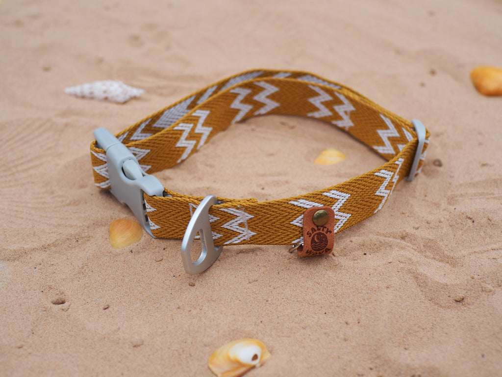 Salty Nova Tideline collar in Dune, a handmade 25mm dog collar in warm sun-washed tones, lifestyle shot