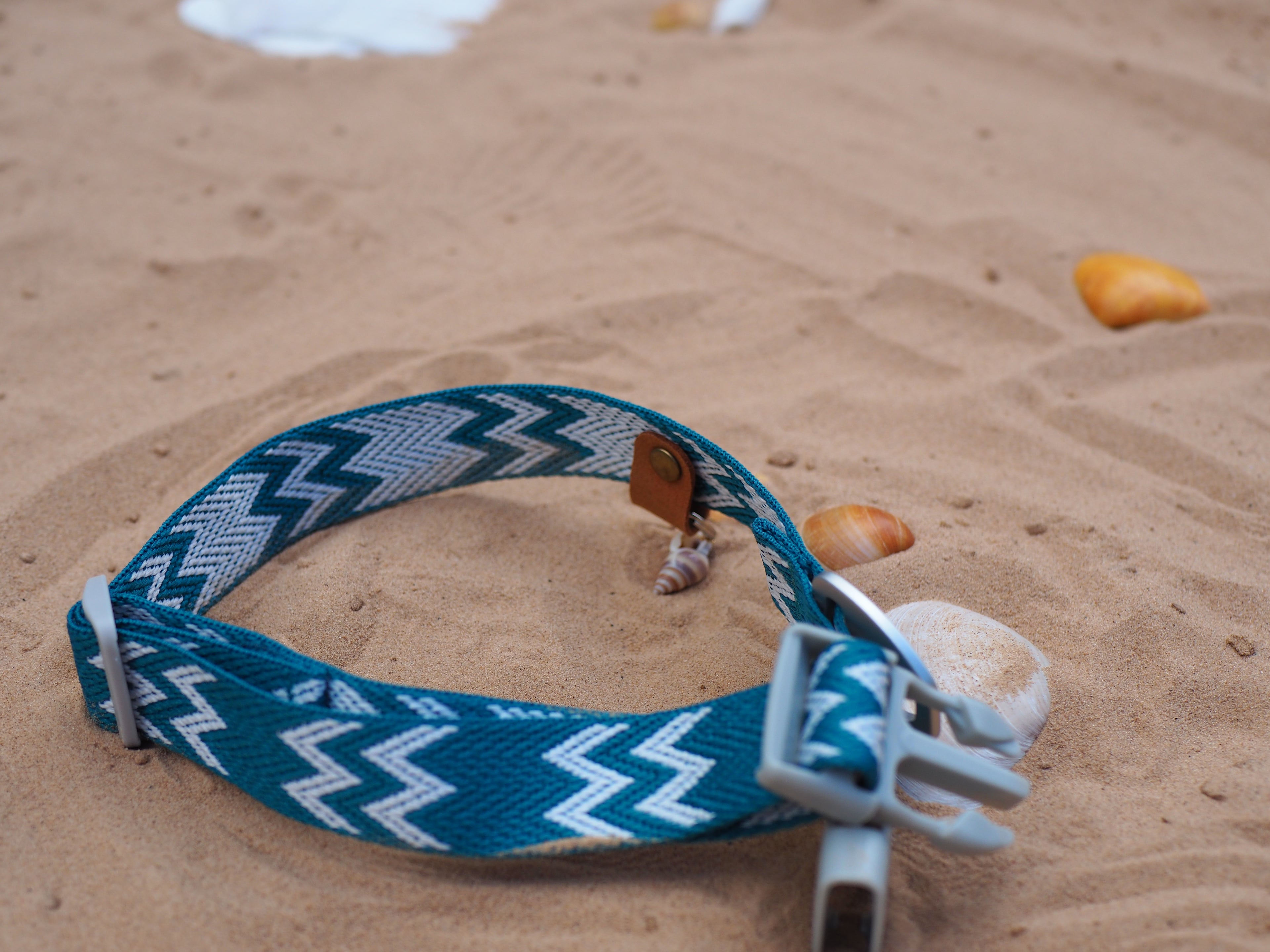 Salty Nova Tideline collar in Kelp, a handmade 25mm dog collar in sea-green webbing, lifestyle shot