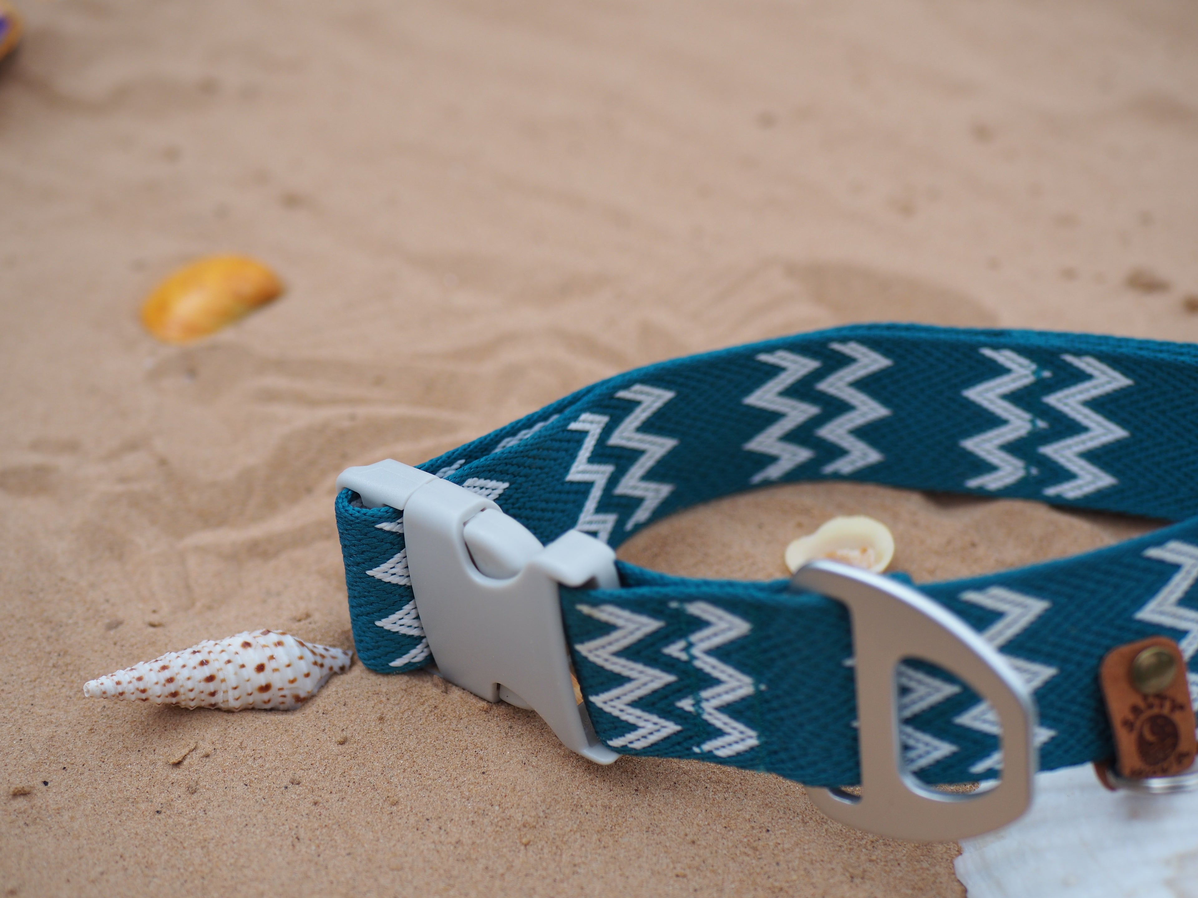 Salty Nova Tides collar in Kelp, a handmade 38mm dog collar in sea-green webbing, lifestyle shot